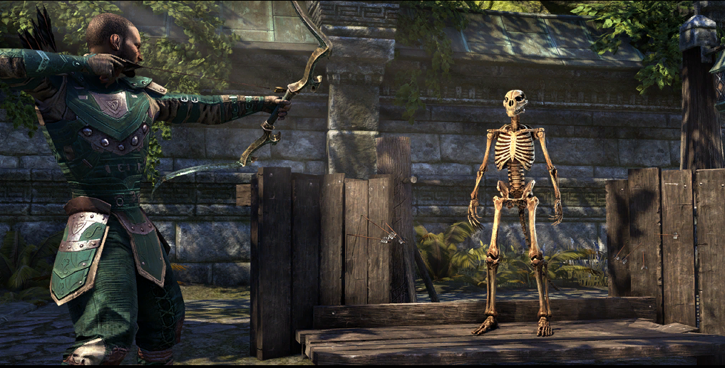 [TESO] Гильдия Бойцов. Основы танкования